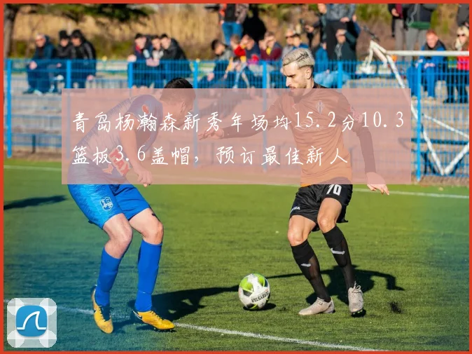 青岛杨瀚森新秀年场均15.2分10.3篮板3.6盖帽，预订最佳新人